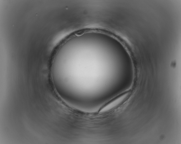 X0000092021311200709201544