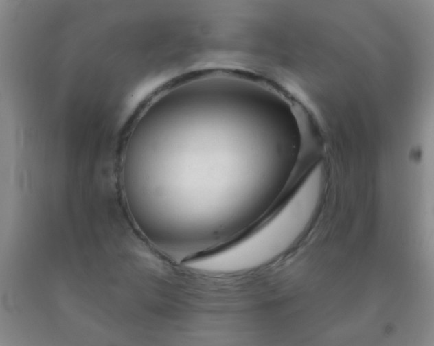 X0000092021312200709201544