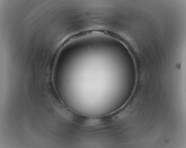 X0000092021313200709201544