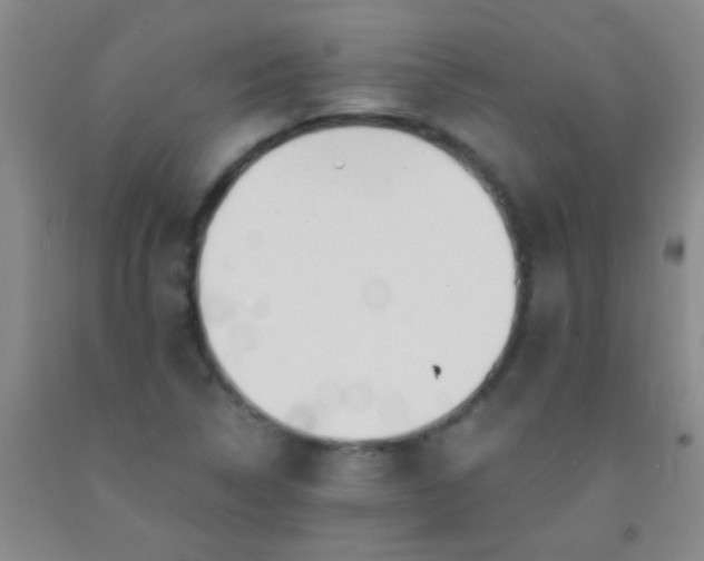 X0000092021314200709201544