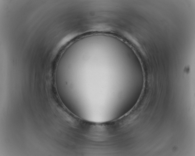 X0000092021315200709201544