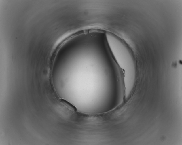 X0000092021316200709201544