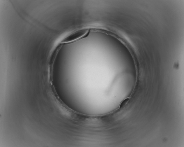 X0000092021320200709201544