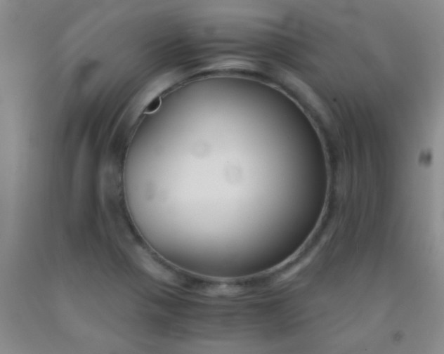 X0000092021321200709201544