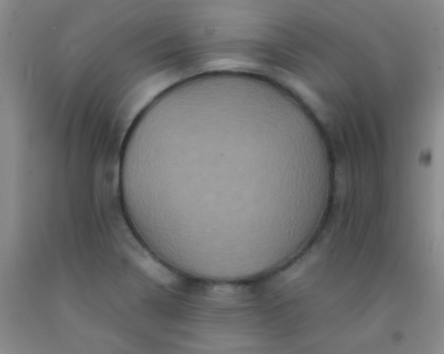 X0000092021322200709201544