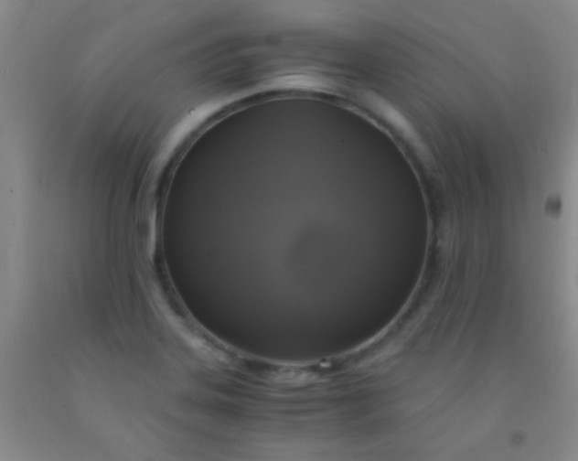 X0000092021323200709201544