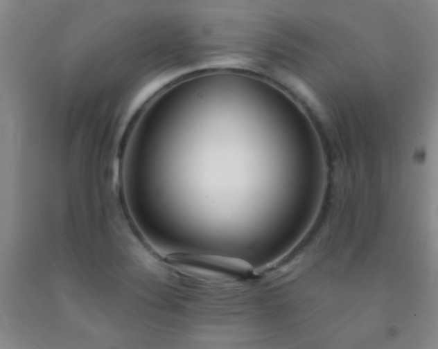 X0000092021324200709201544