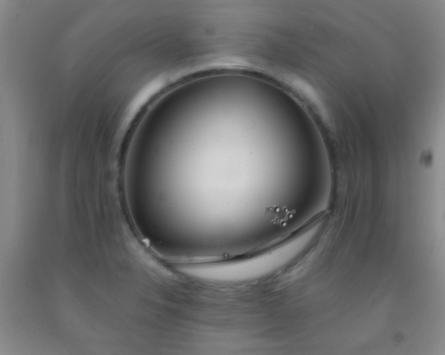 X0000092021326200709201544