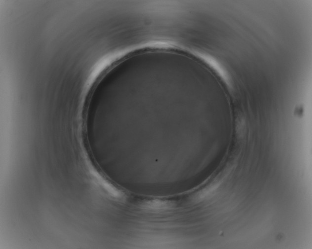 X0000092021327200709201544