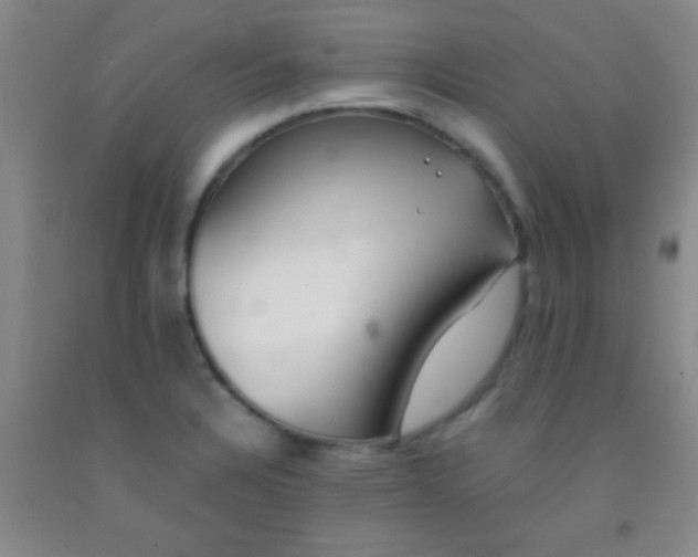 X0000092021328200709201544