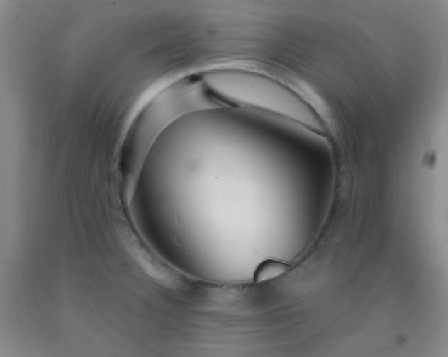 X0000092021332200709201544