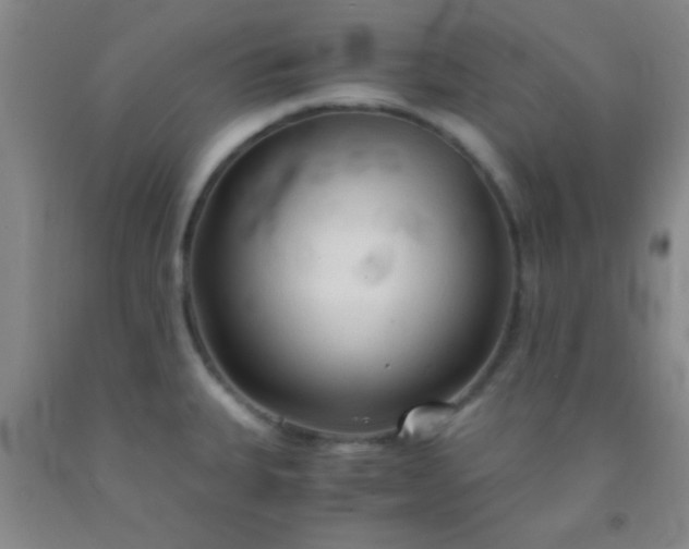 X0000092021335200709201544