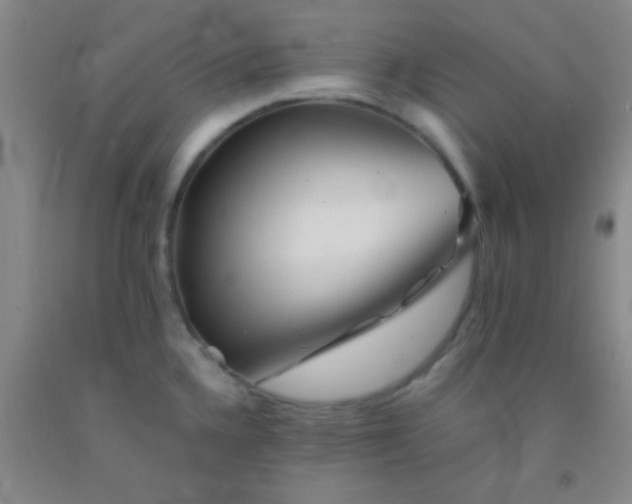 X0000092021336200709201544