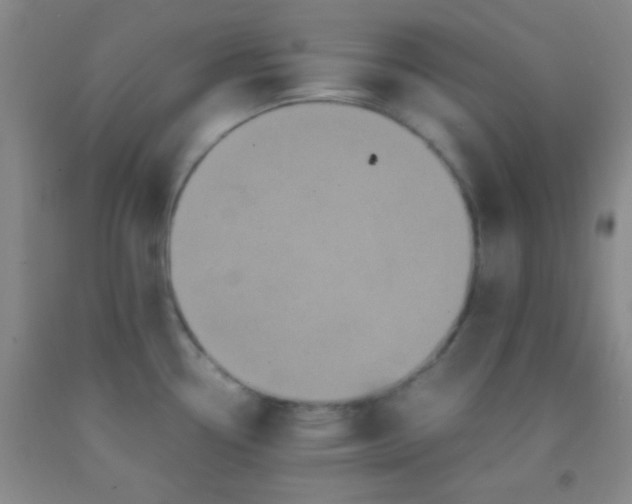 X0000092021338200709201544