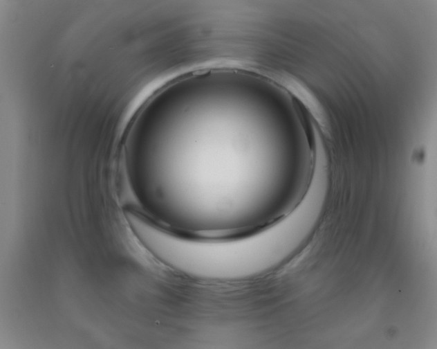 X0000092021340200709201544