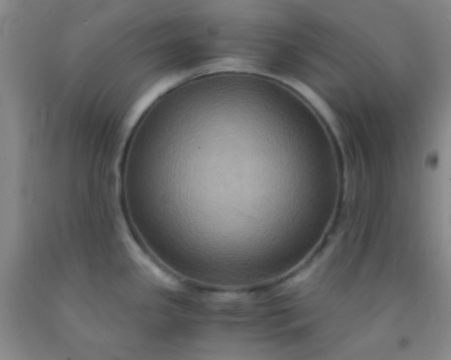 X0000092021341200709201544