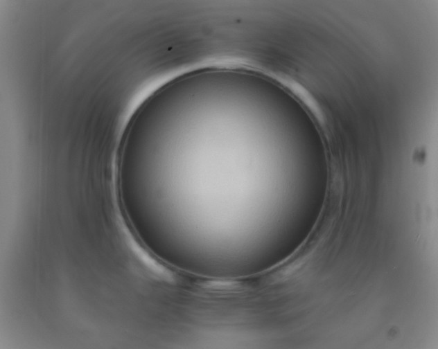 X0000092021343200709201544