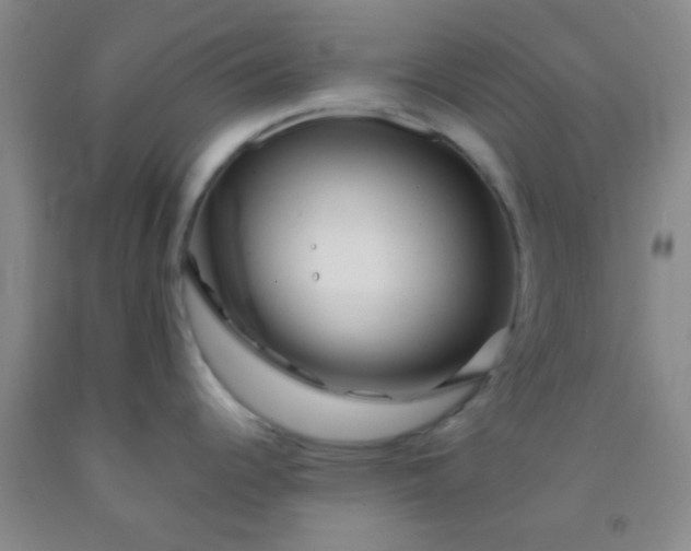 X0000092021344200709201544