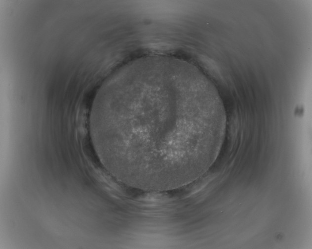 X0000092021346200709201543