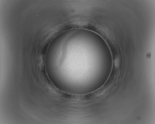 X0000092021347200709201543