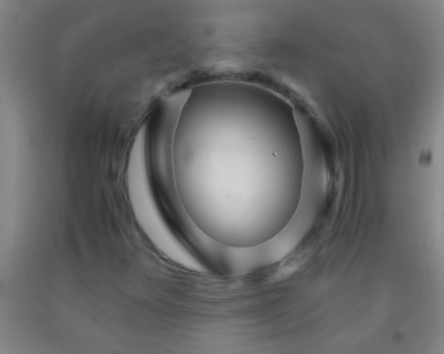 X0000092021348200709201543