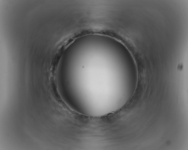 X0000092021349200709201543