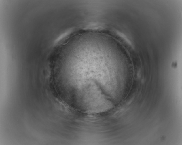 X0000092021350200709201543