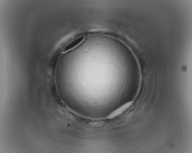 X0000092021351200709201543