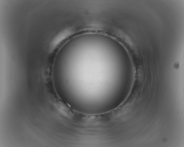 X0000092021352200709201543