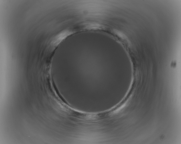 X0000092021353200709201543