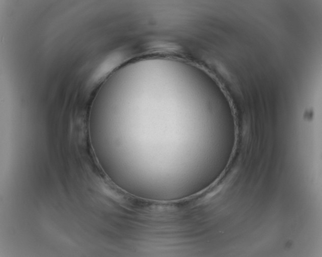 X0000092021354200709201543