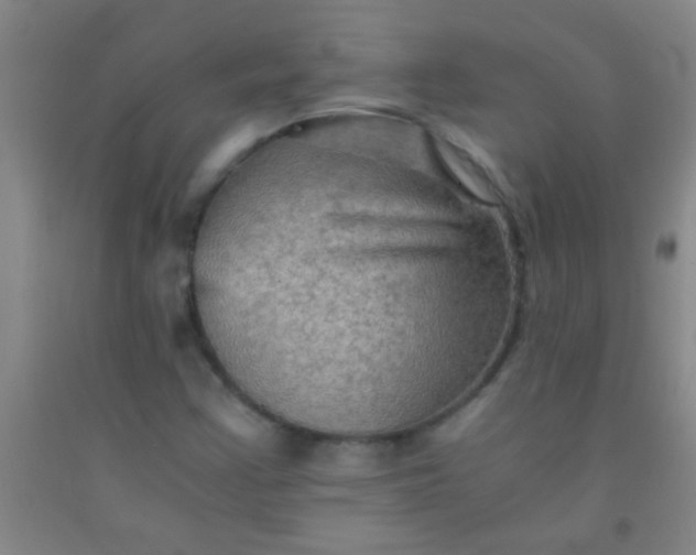 X0000092021355200709201543