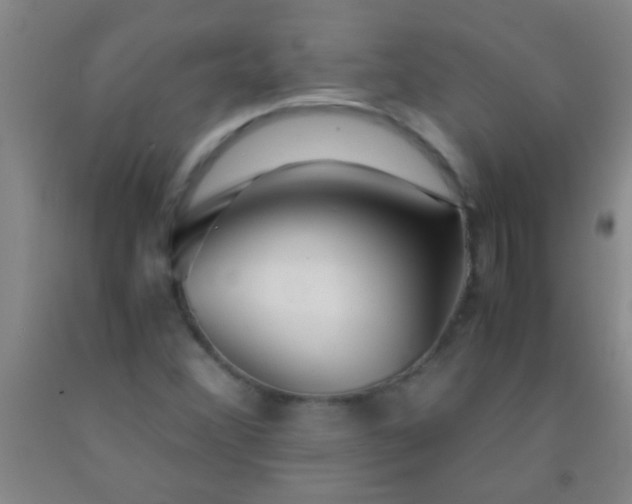 X0000092021356200709201543