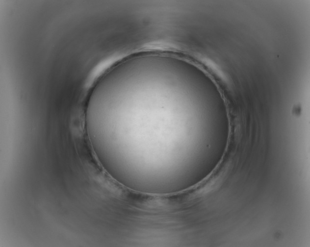 X0000092021358200709201543