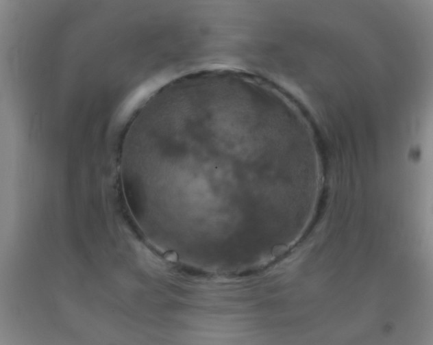 X0000092021359200709201543