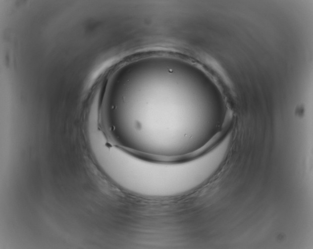 X0000092021360200709201543