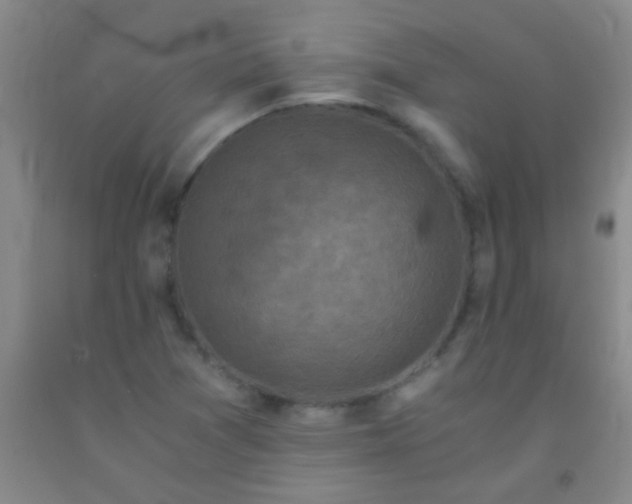 X0000092021361200709201543