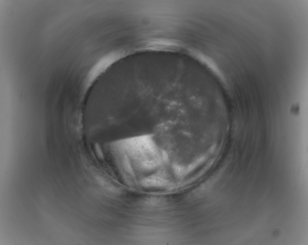 X0000092021362200709201543