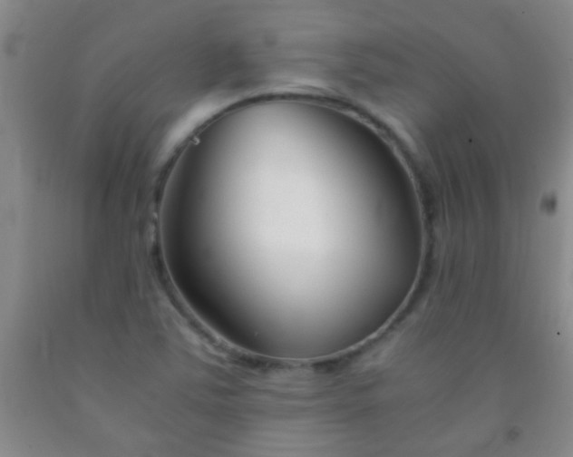 X0000092021363200709201543