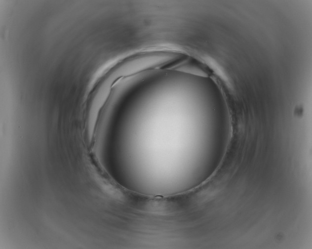 X0000092021364200709201543