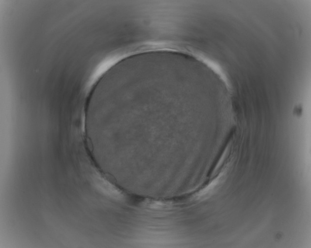 X0000092021365200709201543