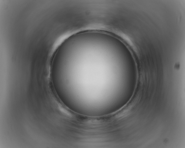 X0000092021366200709201543