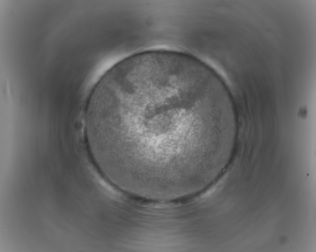 X0000092021367200709201543