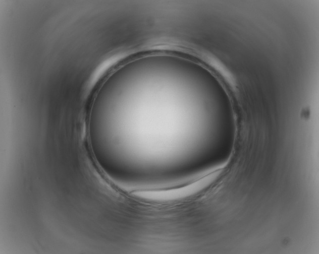 X0000092021368200709201543