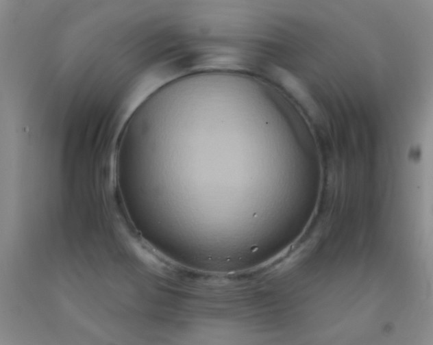 X0000092021370200709201543