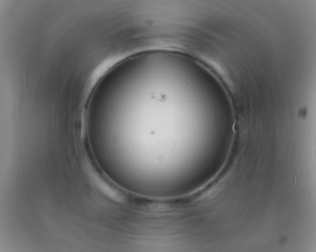 X0000092021371200709201543