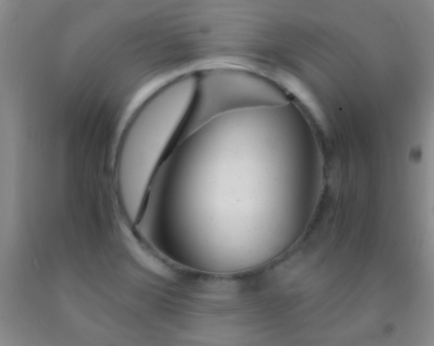 X0000092021372200709201543