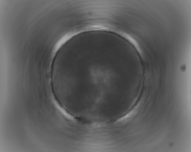 X0000092021373200709201543