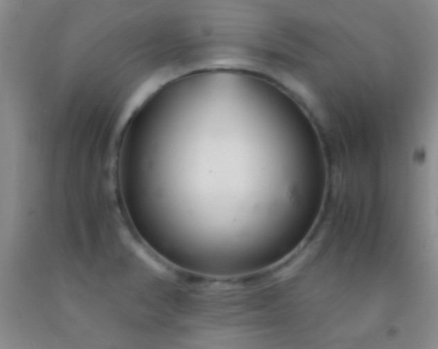 X0000092021374200709201543