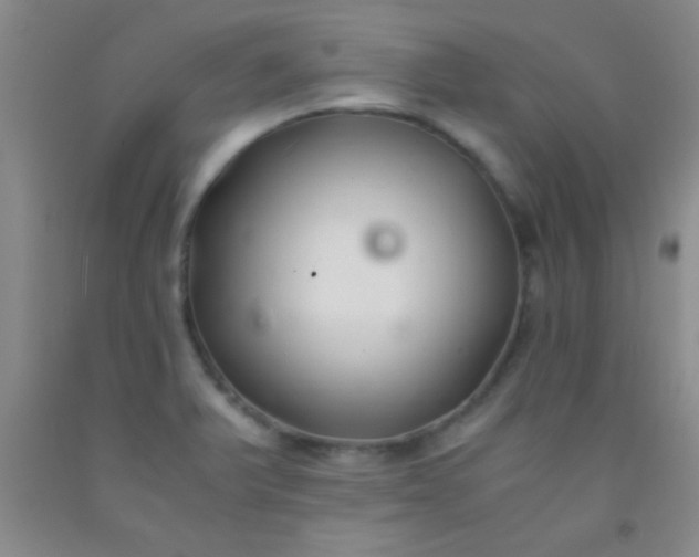 X0000092021375200709201543